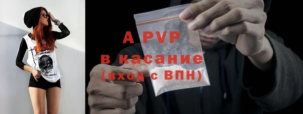 spice Аркадак