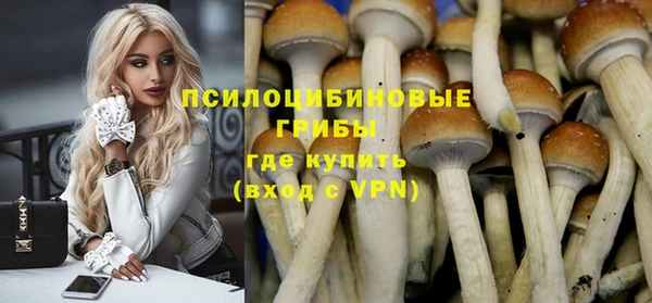 apvp Ельня