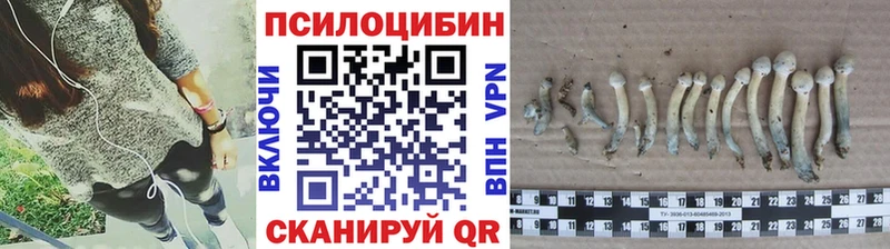Псилоцибиновые грибы GOLDEN TEACHER  Починок 